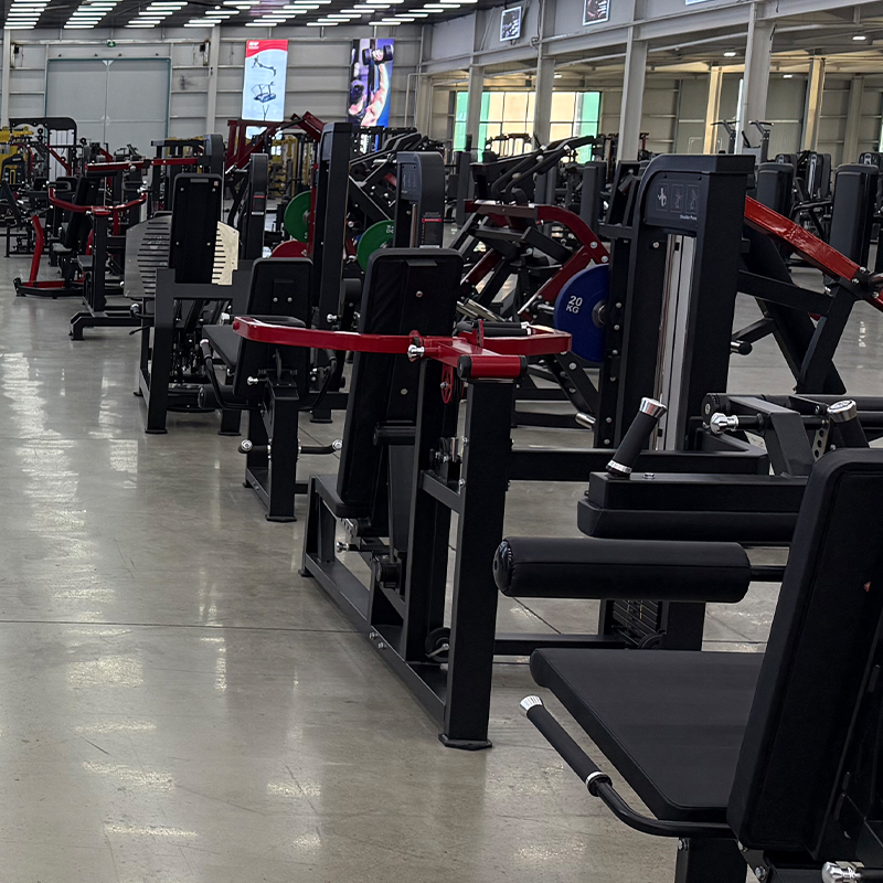 Equipo de Entrenamiento de Fue - Home Gym Multi reseña y precio